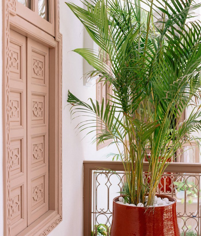 Riad Lucia
