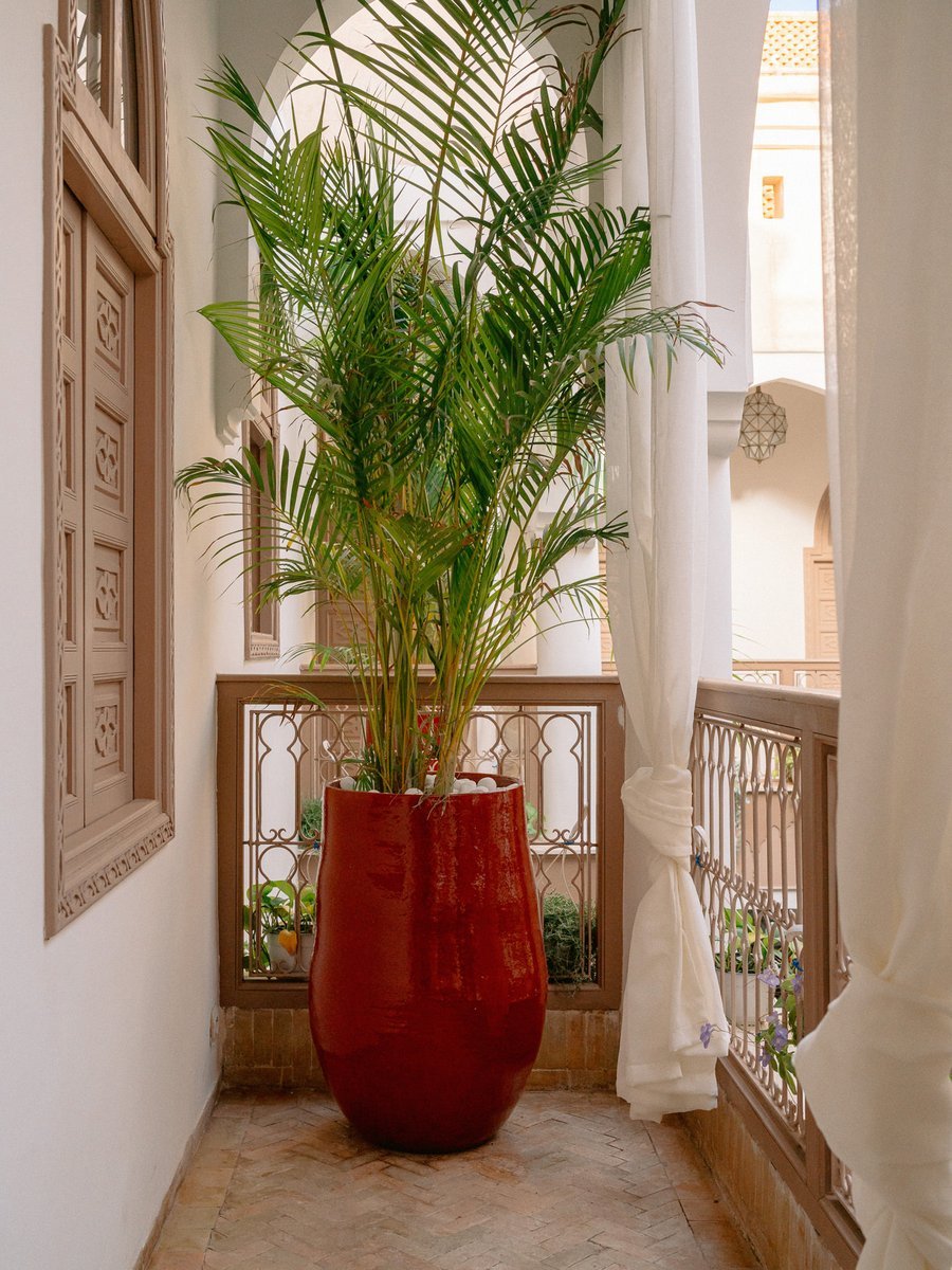Riad Lucia